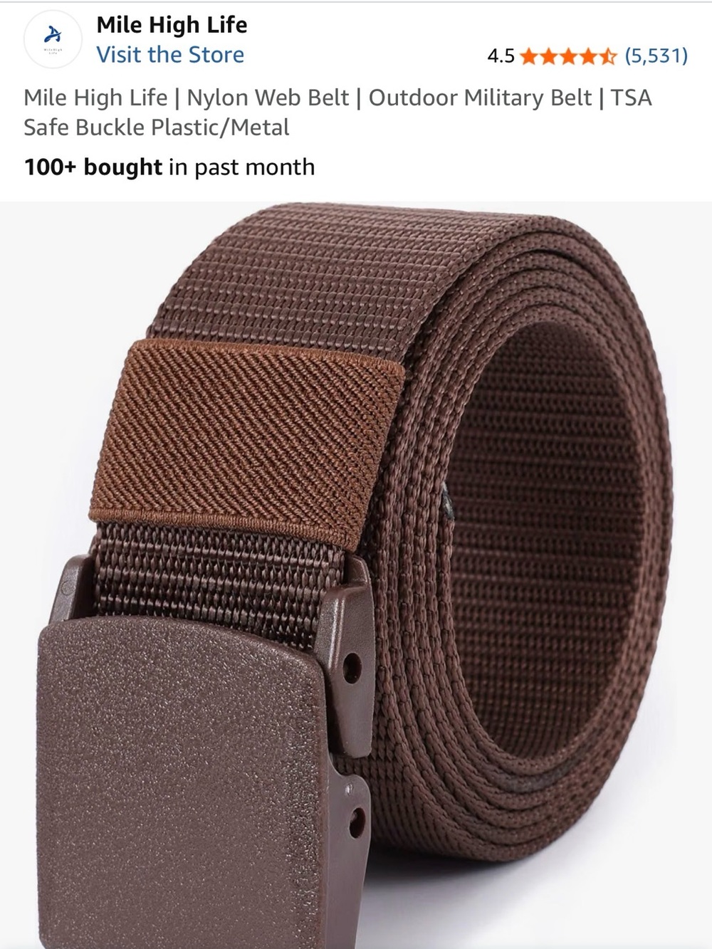 Brown Nylon Web Belt for Men